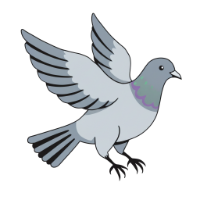 CheckinPigeon